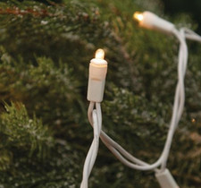 Warm White Micro Lights, 20 Count, White Cord, Teeny Lights