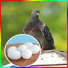 6pc White Solid Plastic Pigeon Dove Eggs Dummy Eggs Improve Laying Survival Rate