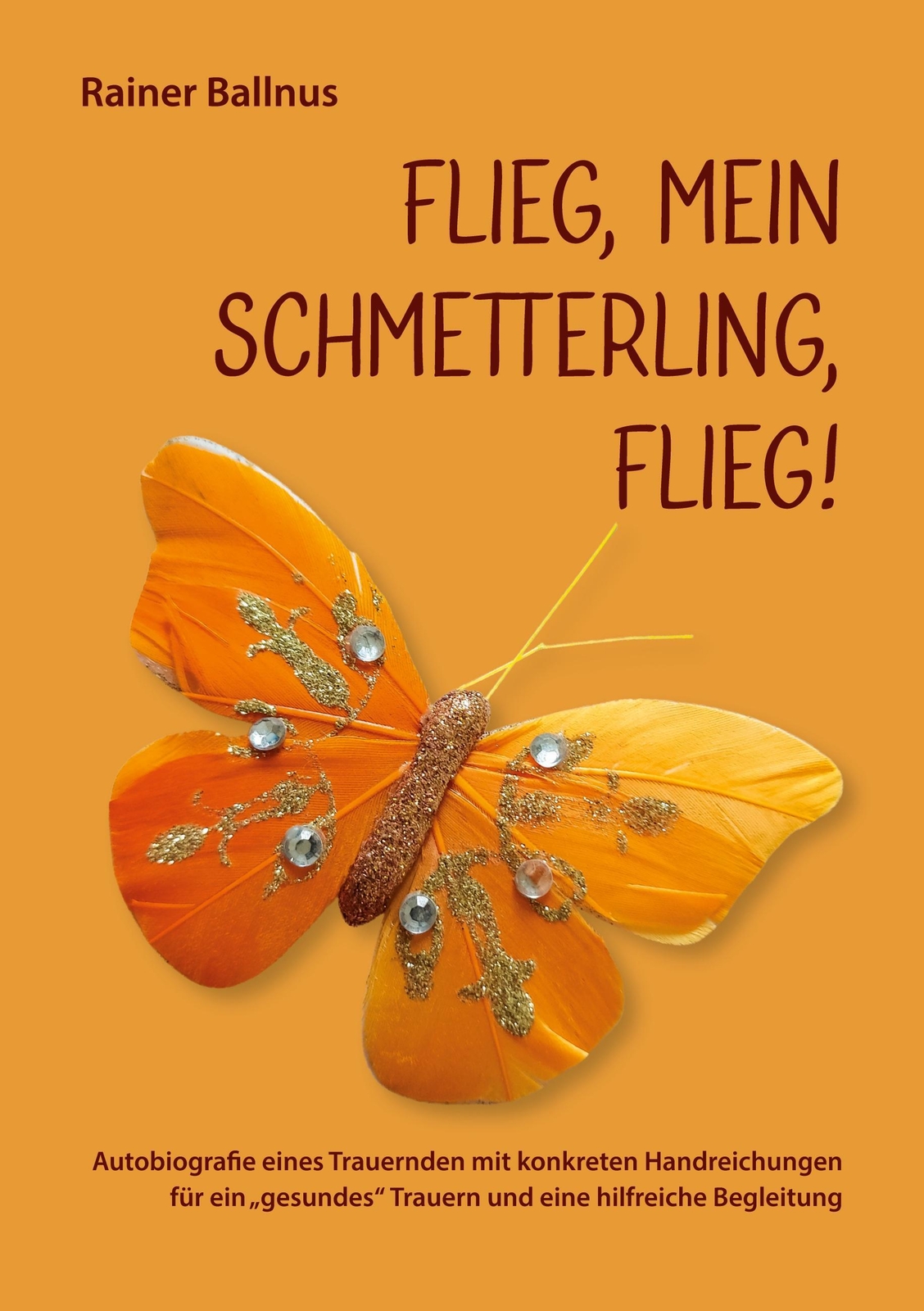 Thumbnail - Flieg, Mein Schmetterling, Flieg Rainer Ballnus Taschenbuch Paperback