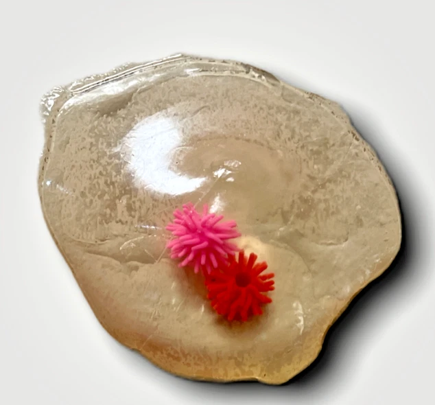 12 Pieces Clear Sea Star Sticky Bombs Squish Splat Ball Smash It Squishy Toy - Image 4 of 4