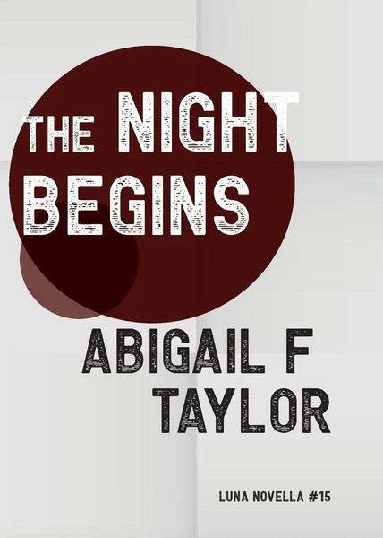 Abigail F Taylor | The Night Begins | Taschenbuch | Englisch (2023)-image