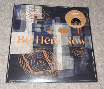 New/Sealed 7  Vinyl Single  Be Here Now  Doyle Bramwell II Feat, (2020)