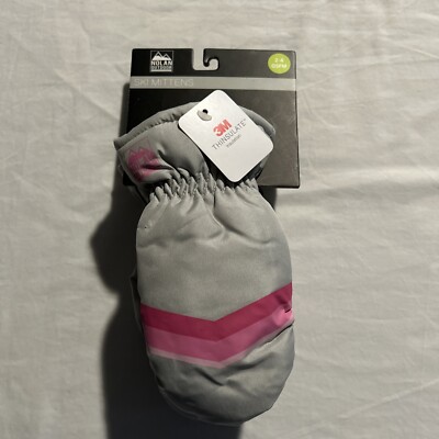 Nolan Outdoor 3M Thinsulate Kids Size 2-4 Weatherproof Gray Mittens Gloves - NWT