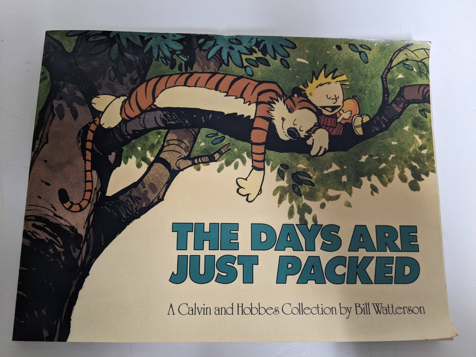Calvin and Hobbes : Days are Just Packed by William Watterson (1993, Library...