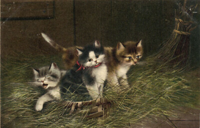 PC CATS, THREE CATS SLEEPING IN THE BARN, Vintage Postcard (b47204)