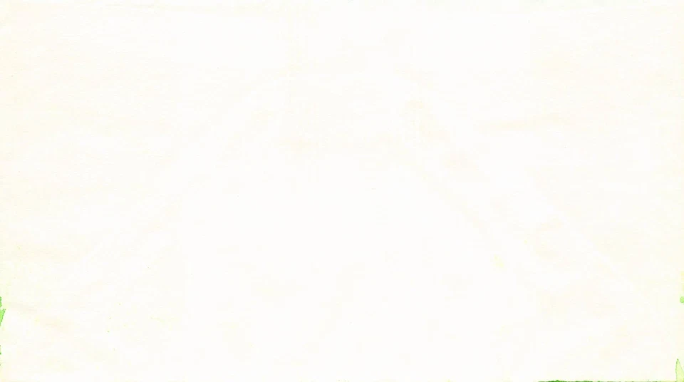 Scott 2158a 22 Cents Horse Bernard Goldberg Hand Painted Stamp Cover Appaloosa - Image 2 of 2