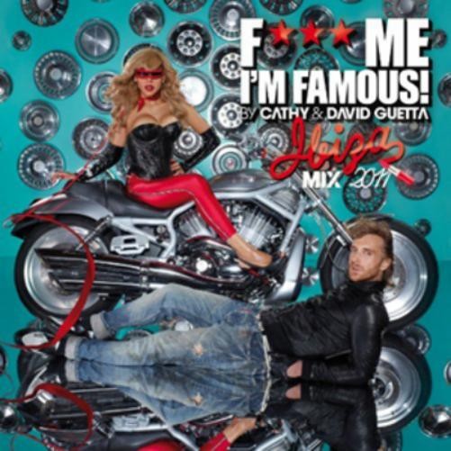 Альбом Дэвида Гетты F*** Me Im Famous 2011 (CD)