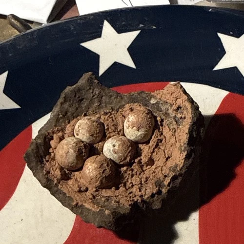 Dug Civil War  💥 🇺🇸 💣 Cannonball W Shot  Birds Nest