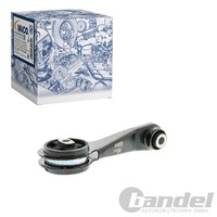 Vaico Motorlager Hinten Passend FüR Renault Clio Kangoo Thalia | V46-0614