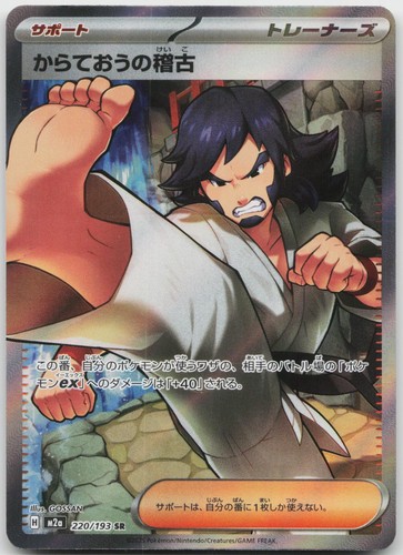 Black Belt's Training 220/193 Super Rare MEGA Dream ex Pokemon Japanese NM