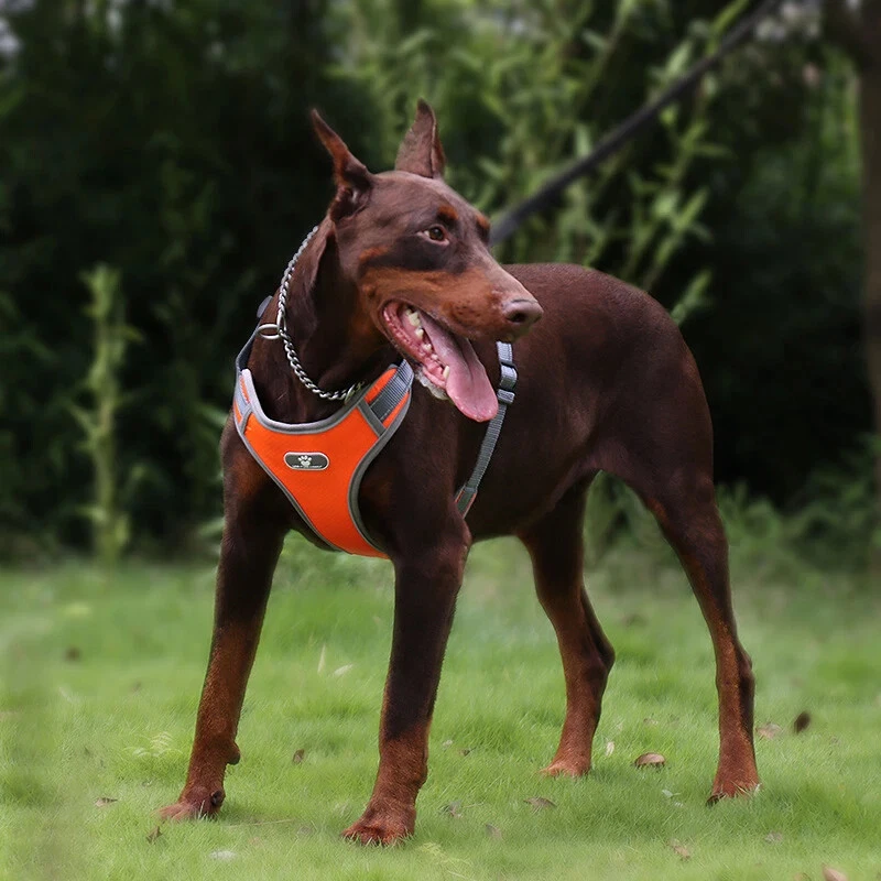 Dog Harness Vest Breathable Dog Training Reflective Nylon Pet Chest Strap New US