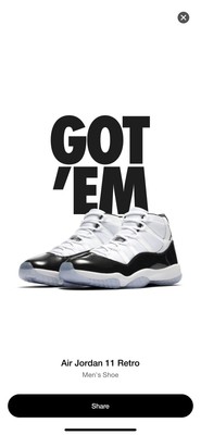 concord 11 2018 men's