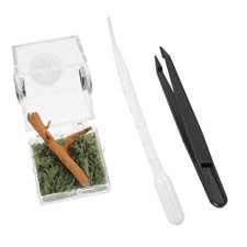 Reptile Enclosure Terrarium Tank Jumping Spider Breeding Box Animals Small