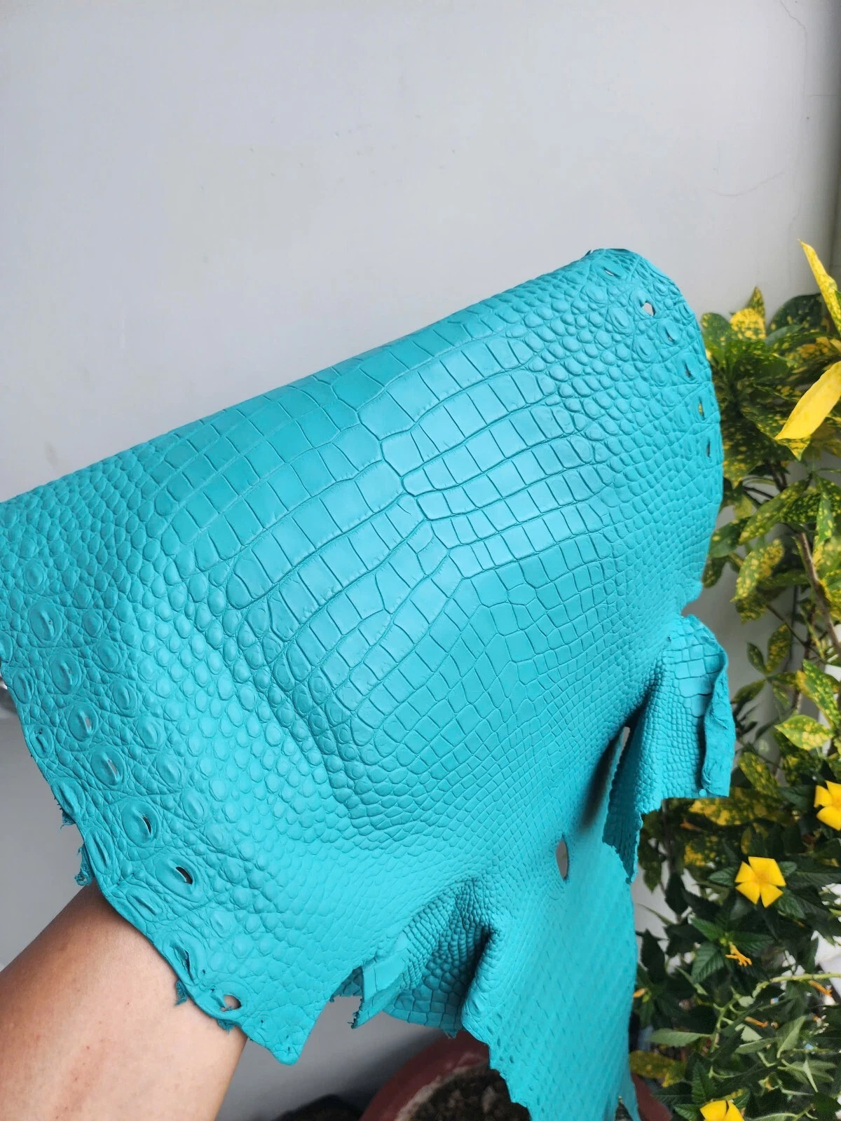 Turquoise Luxury Real,100%Genuine Leather Hide Skin Fur Pelt Taxidermy