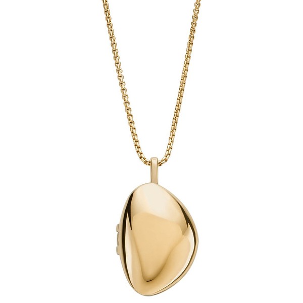 Skagen Damen Kette Halskette Edelstahl Kariana Gold Medaillon SKJ1752710-image