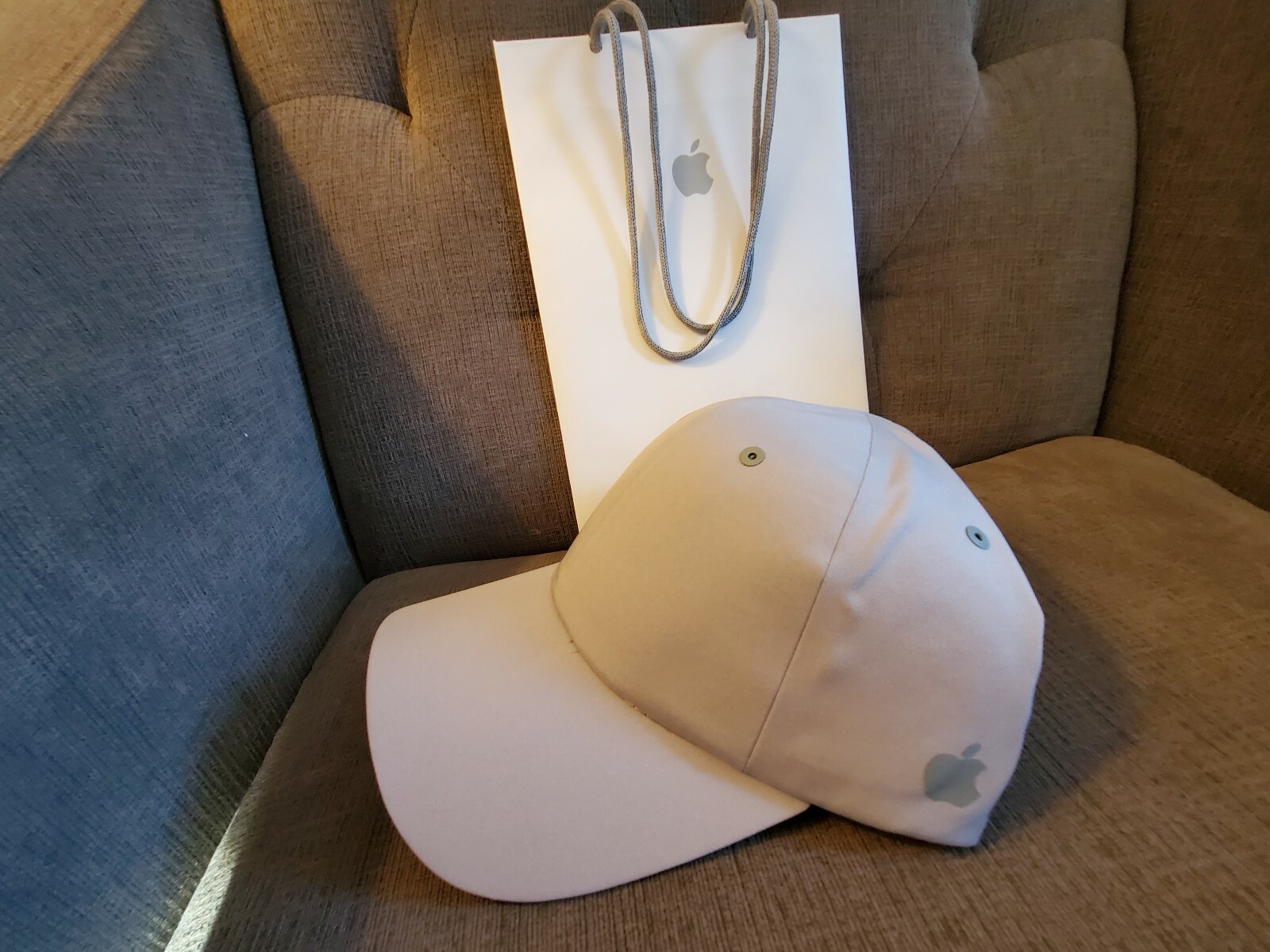 Computers High Tech Apple Logo Hat Gray New Era Apple Park Only Collectibles Blakpuzzle Com