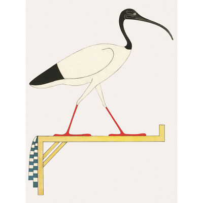 Heiliger Ibis Vogel auf Ständer Thoth Ägypter Kunstdruck Leinwand 30x40 cm