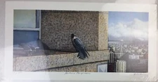  Ed Newbold Artist Signed Autographed Print Pewhouse Peregrines Seattle Limited