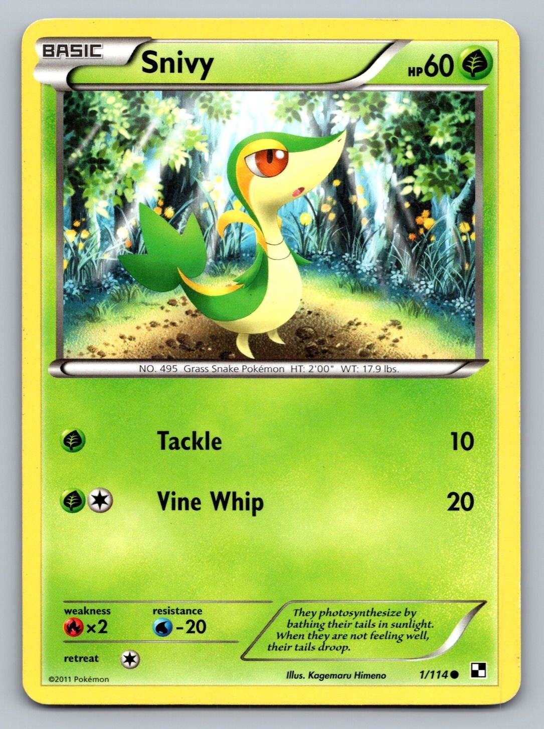 Pokemon TCG Black & White Snivy #1