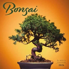 Carousel Calendars,  Bonsai 2026 Wall Calendar, 12'' X 12'', 16-Month Calendar w
