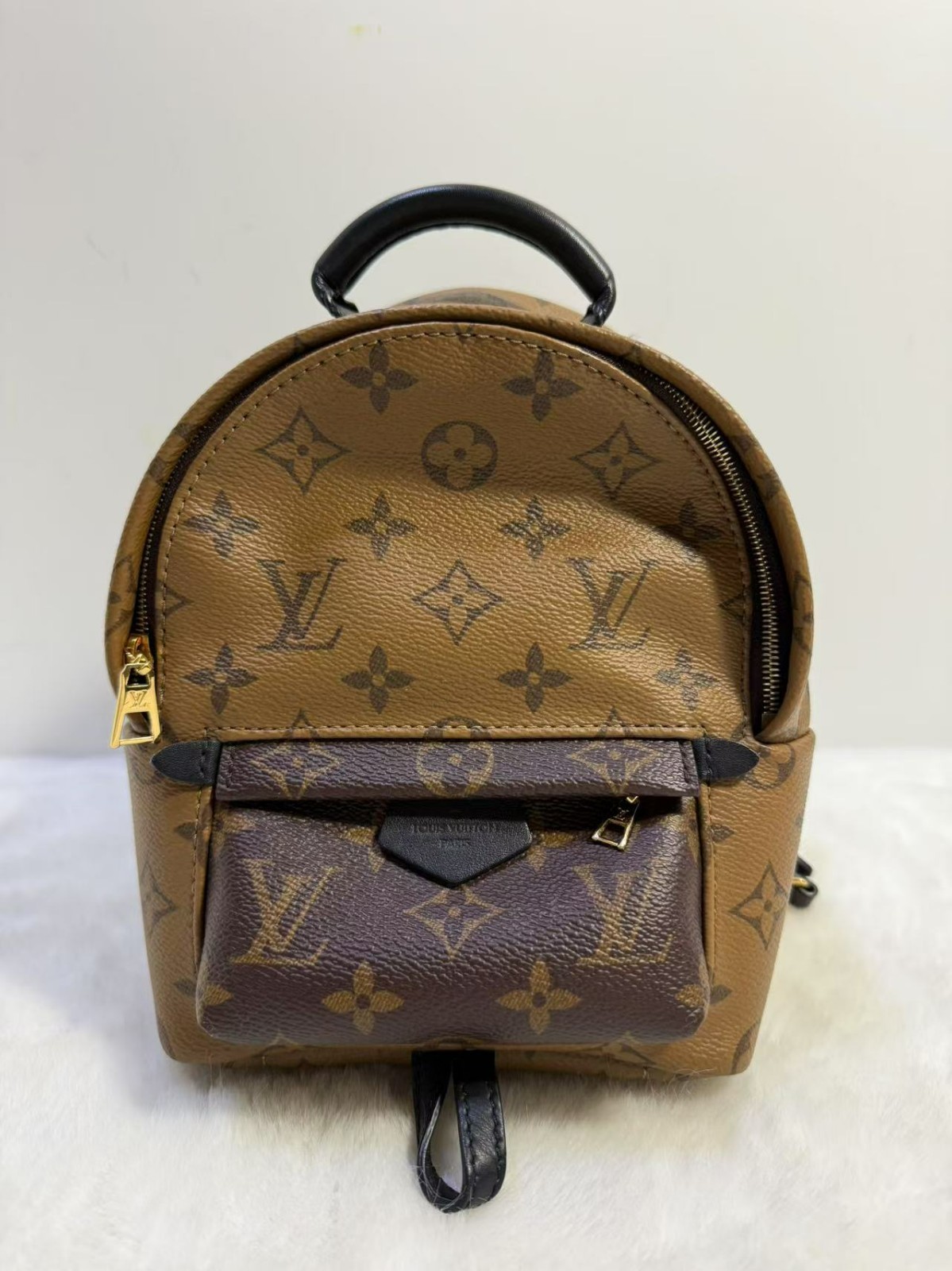 Louis Vuitton Palm Springs Mini Backpack in Brown Monogram Canvas