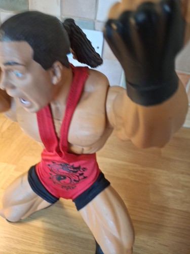 JAKKS WWE RING GIANTS ROB VAN DAM 14" AZIONE POSABILE sciolto 2006 - Foto 10 di 24