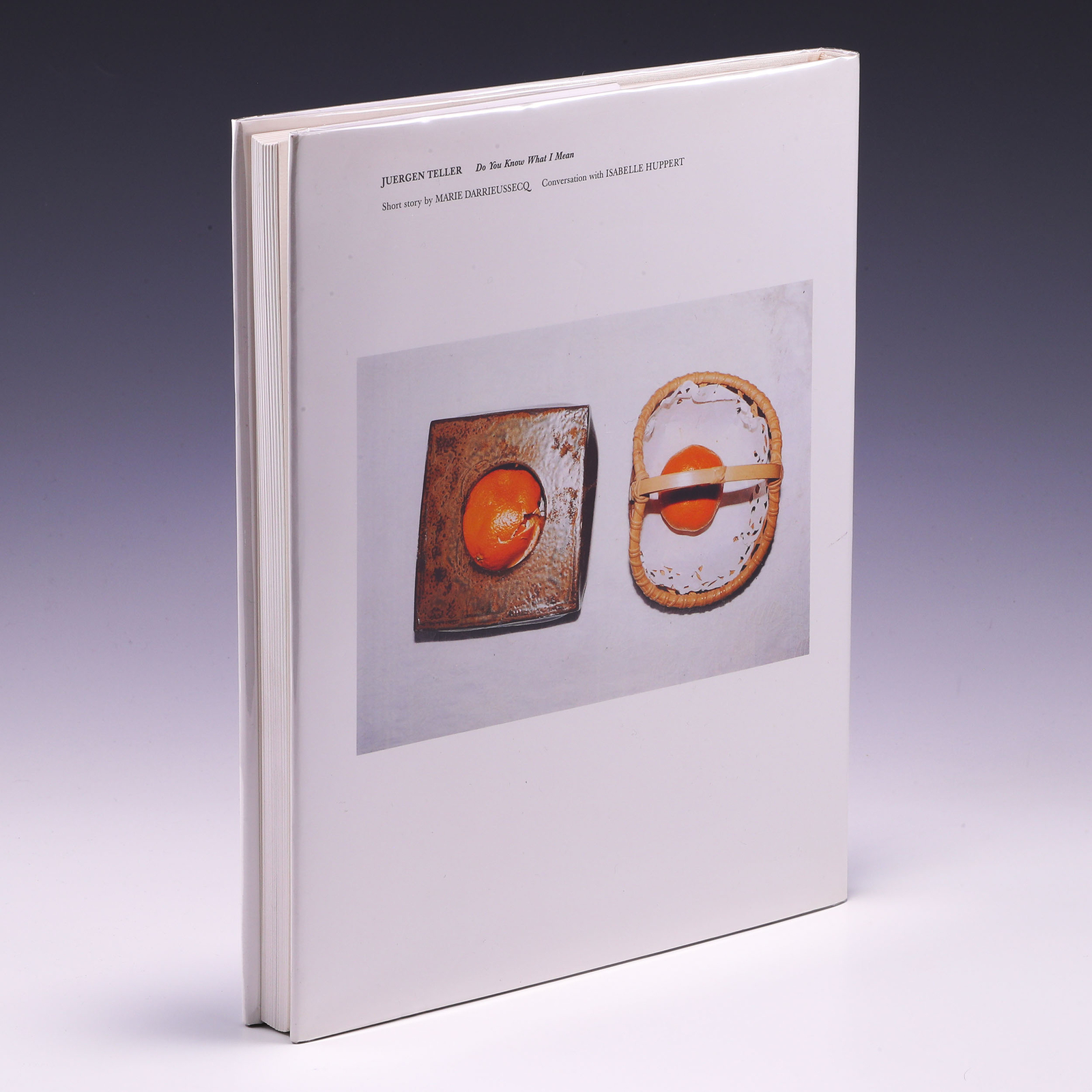 洋書 Do You Know What I Mean / Juergen Teller : ユルゲン・テラー