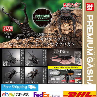Advanced Living Creature Encyclopedia 4er Set komplett / Kapselspielzeug / NE...