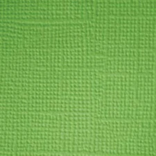 Textured Cardstock 12"X12" Grasshopper
