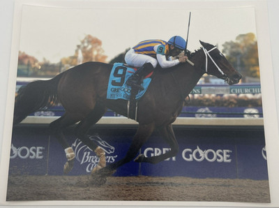 2011 Breeders  Cup Grade 1 Juvenile Fillies My Miss Aurelia & Corey 8x10 Photo