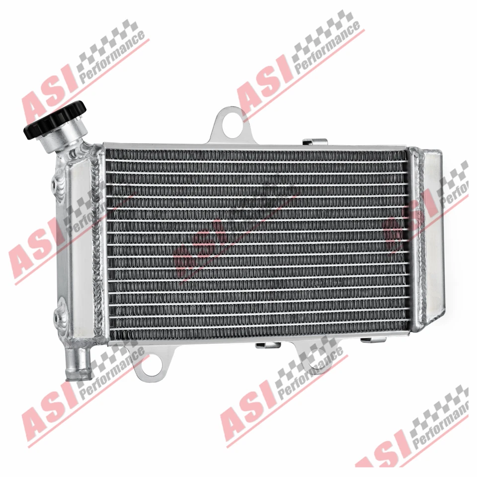 Radiador de aluminio para Yamaha XT660R/XT660X 660R XT 660X 2004-14 5VKE24612900 Foto 4 de 4