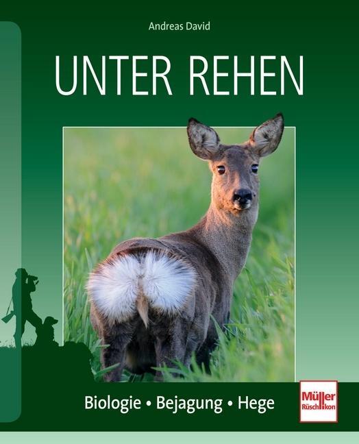 Thumbnail - Unter Rehen Andreas David