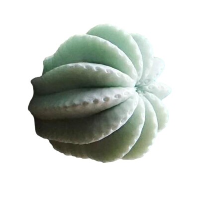 Round Mint Green Cactus 2 in Wall Hook Organic Shape Outdoor Safe Succulent