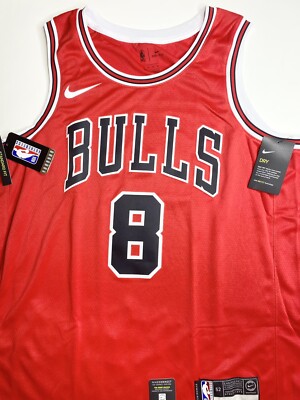 Nike NBA Zach LAVINE Chicago Bulls Size L,XL Icon Swingman Jersey