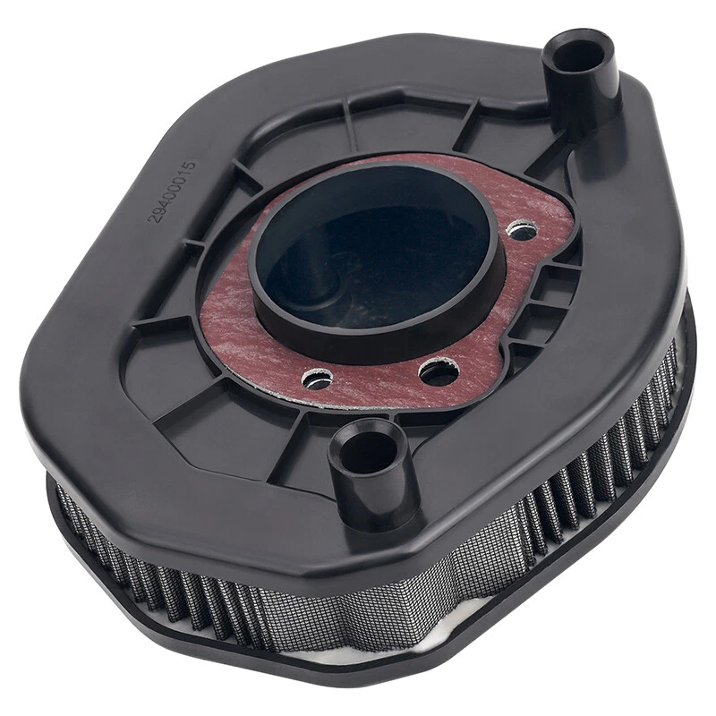Air Filter For Harley Sportster XL1200 XL883 XL883L Superlow 2014-2020 #29400015 Foto 3 de 4