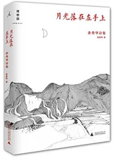 MOONLIGHT DROPS ON MY LEFT HAND (CHINESE EDITION) By Yu Xiuhua