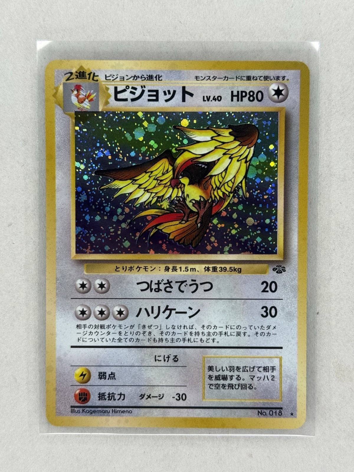 Pokémon TCG Pidgeot #018 Holo Rare Card Japanese Jungle 1997 NM