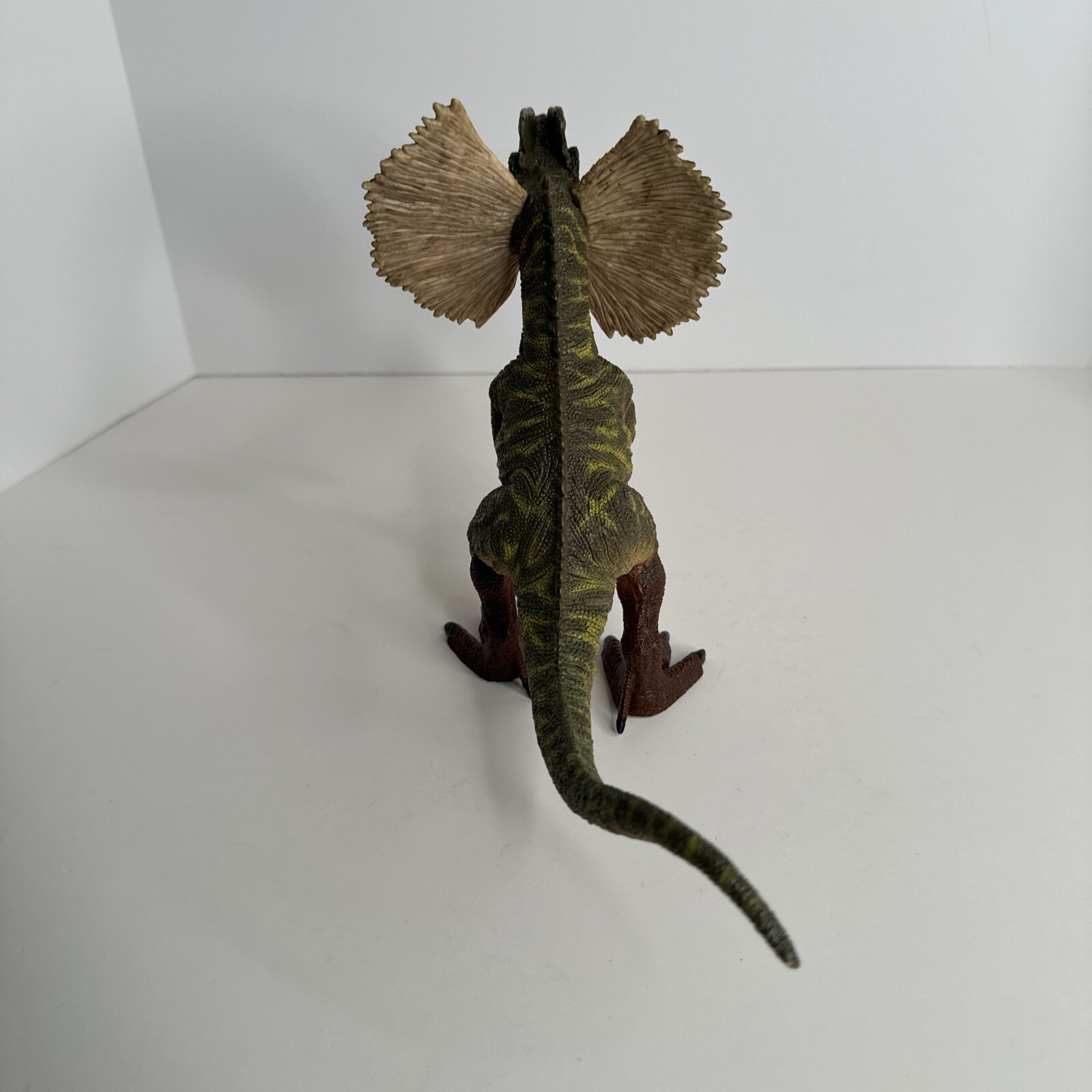 Picture 6 of 9