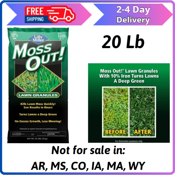 Lilly Miller Moss Out