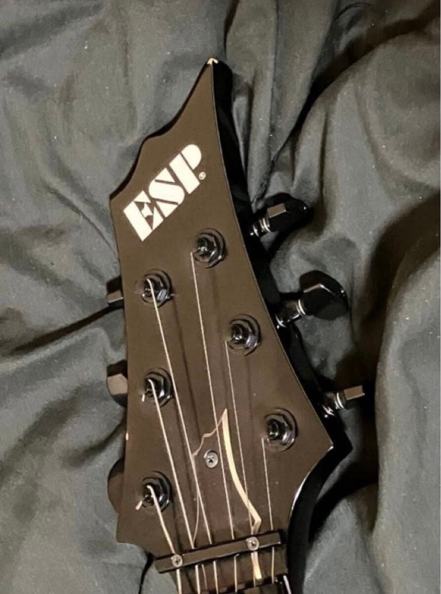 ESP HorizonⅢ FRX カスタムオーダー ギター SUGIZO Electric Guitar ESP Horizon III FRX Forest Custom Order Sugizo