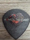 Awaking The Giant — photo 1