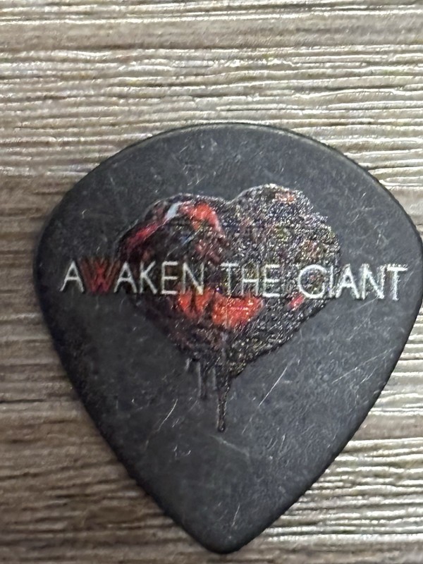 Awaking The Giant