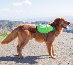 outward hound kyjen dog backpack