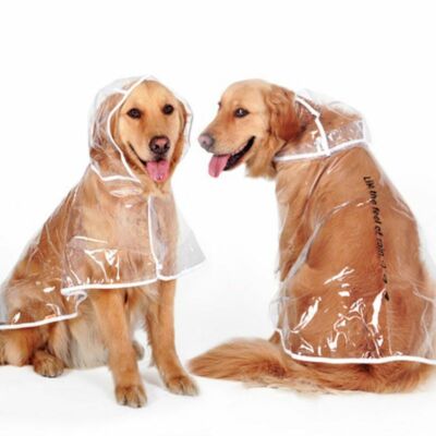 dog waterproof suit