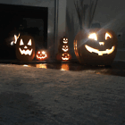 Picture 3 of 69
