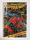 The Amazing Spider-Man #100 (1971)🔥HIGH GRADE!🔥