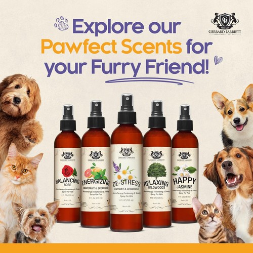 Dog Perfume Spray Long Lasting Chamomile & Lavender 8 Fl Oz, Dog Cologne Spra... - Picture 6 of 6