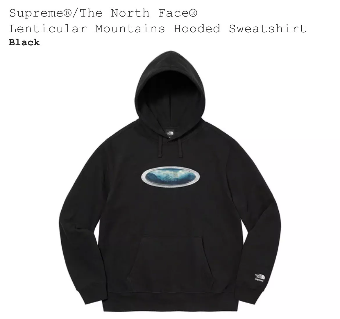 New Supreme x The North Face Lenticular Mountains Hooded Black