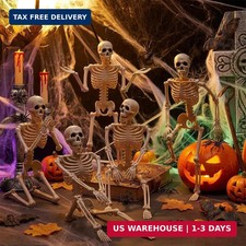 5 Pack 16" Full Body Halloween Skeletons Decorations Movable Joints Posa