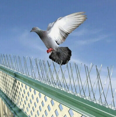 Bird Spikes () Bird Spikes